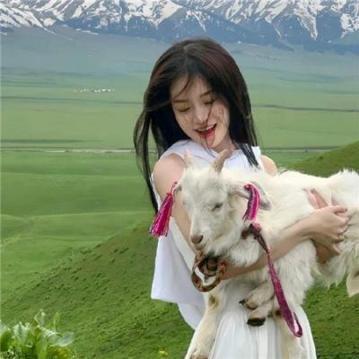 趁青春仍在时